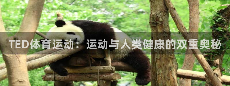 一竞技官方正版app开户:TED体育运动:运动与人类健康的双