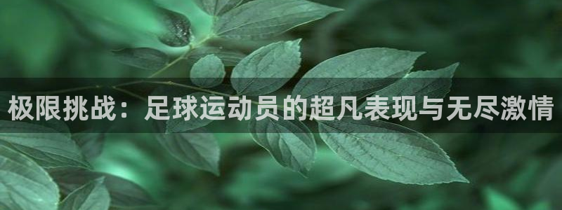 一竞技官网下载平台假的吗是真的吗吗:极限挑战:足球运动员的超